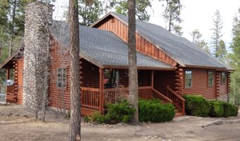 10 County Road 2074, Alpine, AZ 85920