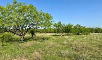 Tbd White Mines Rd, Abilene, TX 79603