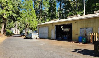55533 MCKENZIE RIVER Dr, Blue River, OR 97413