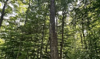 Denio Road, Barnet, VT 05821