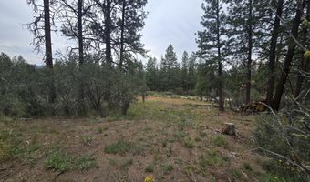 Partin Way 5, Beatty, OR 97621