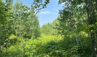 26 Acres Hilltop Kelso, Crystal Falls, MI 49920