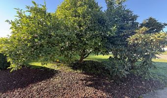 221 MUSSER St, Brookings, OR 97415