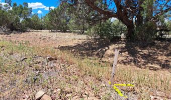 20614014 E W Isabella Ln, Ash Fork, AZ 86320