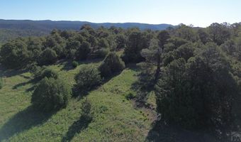 Picketwire Rd, Boncarbo, CO 81024