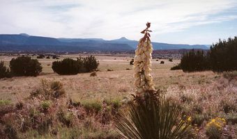 14 Blackfoot Trl, Abiquiu, NM 87510
