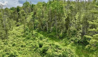1723 Lightening Ridge Rd, Calais, VT 05650
