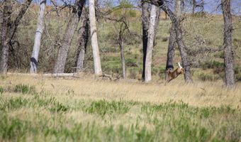 38250 COUNTY RD 170, Agate, CO 80101