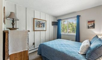 550 S FRENCH St 205, Breckenridge, CO 80424