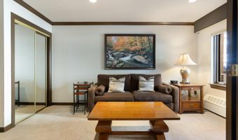 210 Offerson Rd 315-Week 49, Beaver Creek, CO 81620