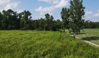 143-217 War Tom Rd, Aulander, NC 27805