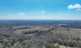 919 County Road 6628, Banks, AL 36005