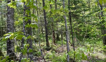 Mountain Road, Burke, VT 05832