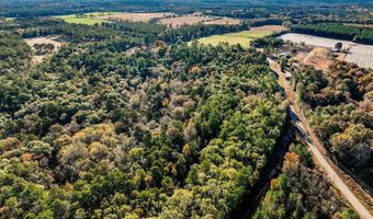 15 6+/- Acres Rose Hill Dozier Macedonia Rd, Andalusia, AL 36421