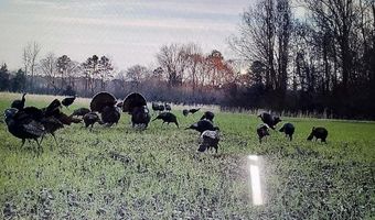 Reeves Road, Ashland, MS 38603