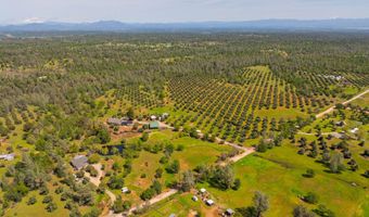 16770 Scout Ave, Anderson, CA 96007
