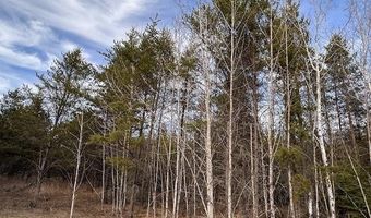 TBD Hwy 21, Babbitt, MN 55706