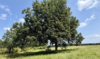 Danford Road, Ashford, AL 36312