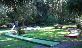 24706 NE Columbia Tie Rd 11-9, Amboy, WA 98601