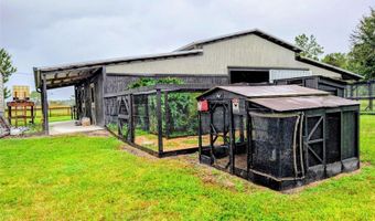 1325 NIATROSS St, Astor, FL 32102