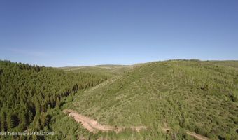1041 HARMONY CREEK Dr, Afton, WY 83110