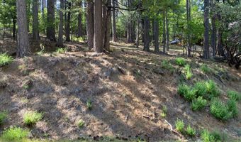 2946 Venado Dr, Arnold, CA 95223