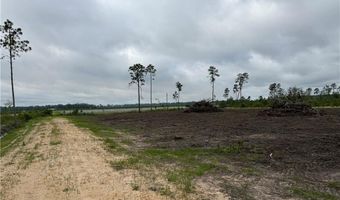 9 219 Ac Rhine Alma GA Rd, Alma, GA 31510