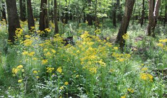 Ruffner Road 00, Barnesville, GA 30204