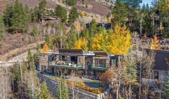 191 Skimming Ln, Aspen, CO 81611
