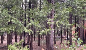 3471 Pocatello Cir, Arnold, CA 95223