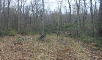 Nepaug Road, Burlington, CT 06013