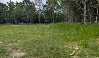 0 Lee Road 393, Auburn, AL 36832