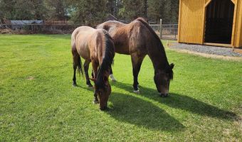 67205 Bass Ln, Bend, OR 97703