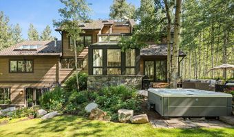 9555 Castle Creek Rd, Aspen, CO 81611