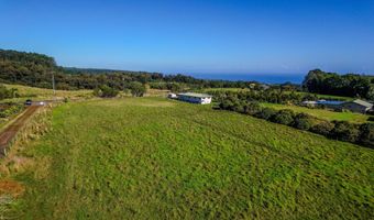 29-605 CHIN CHUCK Rd, Hakalau, HI 96710