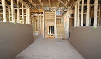 2437 Picual Way, Apex, NC 27502