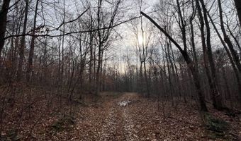 1383 HogBack Rd, Albany, KY 42602