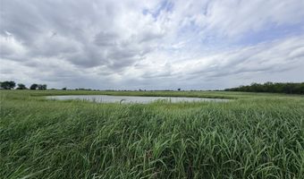192 Fm 1183, Alba, TX 75119