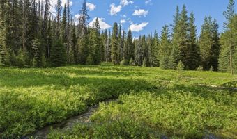 383 Red Lion Rd, Anaconda, MT 59711