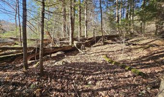 512 Woodbury Mountain Rd, Calais, VT 05648