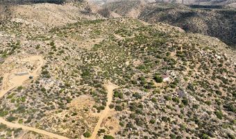 62594 Bear Track Ct, Anza, CA 92539