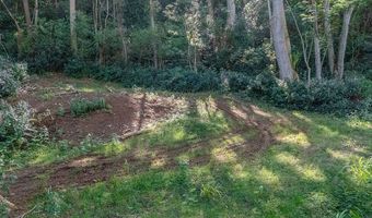3310 WAWAE Rd, Kalaheo, HI 96741