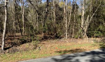 5037 Doctor Taylor Rd, Adams Run, SC 29426