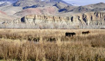 24950 Hwy. 93, Challis, ID 83226