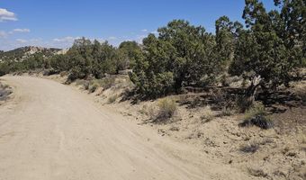 Xx NM 574, Aztec, NM 87410
