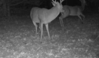 1900 Nelson, Antlers, OK 74525