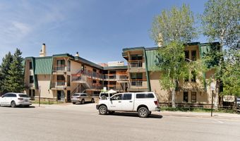 630 E Cooper Ave 1, Aspen, CO 81611