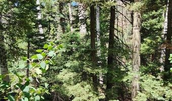 1506 Clarke Mountain Ln, Antonito, CO 81120
