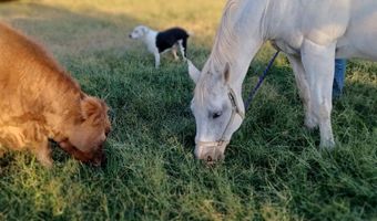 33017 77th, Arkansas City, KS 67005