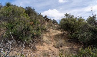 40690 Apple Rd, Anza, CA 92539